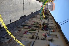 resized_006085