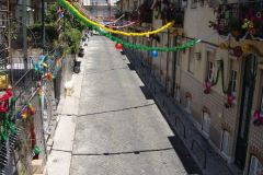 resized_006087