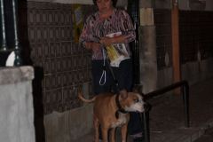 resized_006203