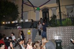 resized_006207