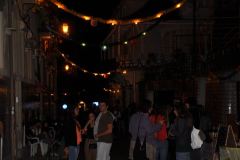 resized_006208