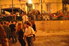 resized_006268