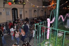 resized_006303