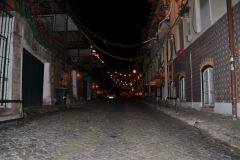 resized_006306