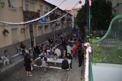 resized_006329