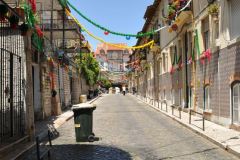 resized_006424
