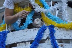 resized_006437