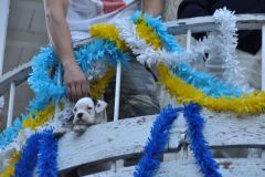 resized_006443