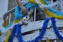 resized_006444