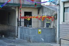 resized_006468