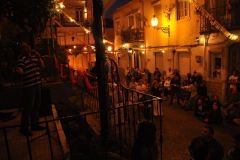 resized_006516