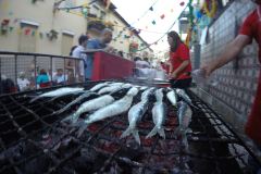 DCIM100GOPROGOPR0294.