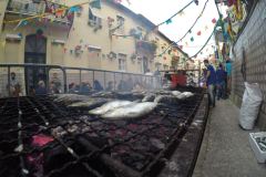 DCIM100GOPROGOPR0513.