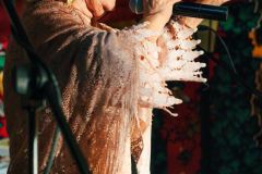 resized_Vila-Berta_Day-6-21
