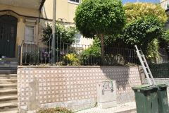 resized_DSC_0045